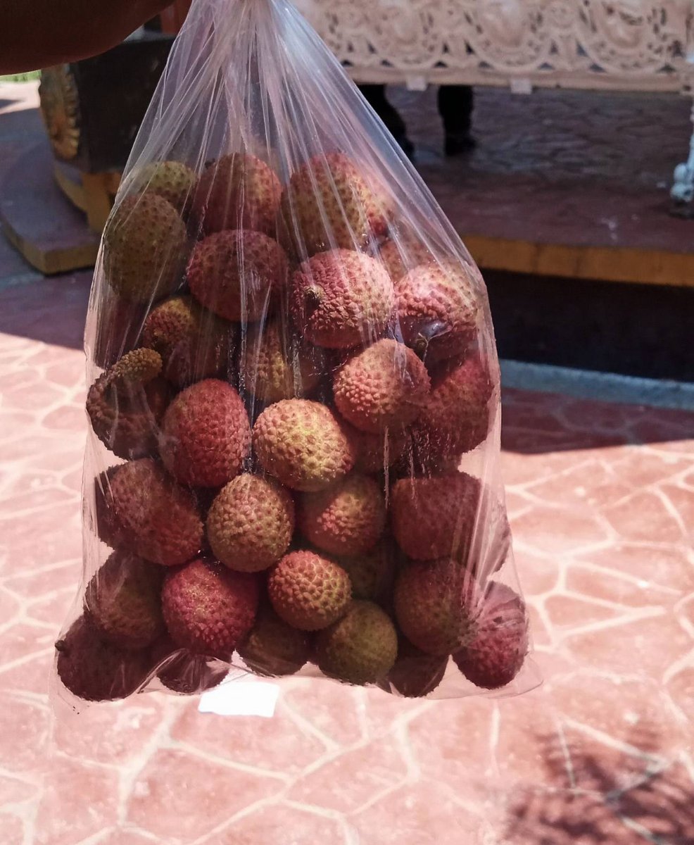 Vista del producto
